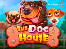 Phone casino free spins. Ingiliz cinsi köpek.10